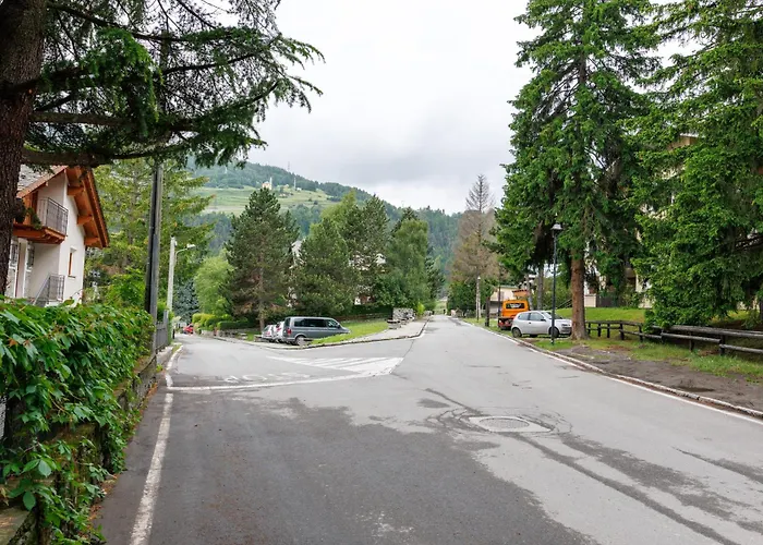 Accogliente Erica, *